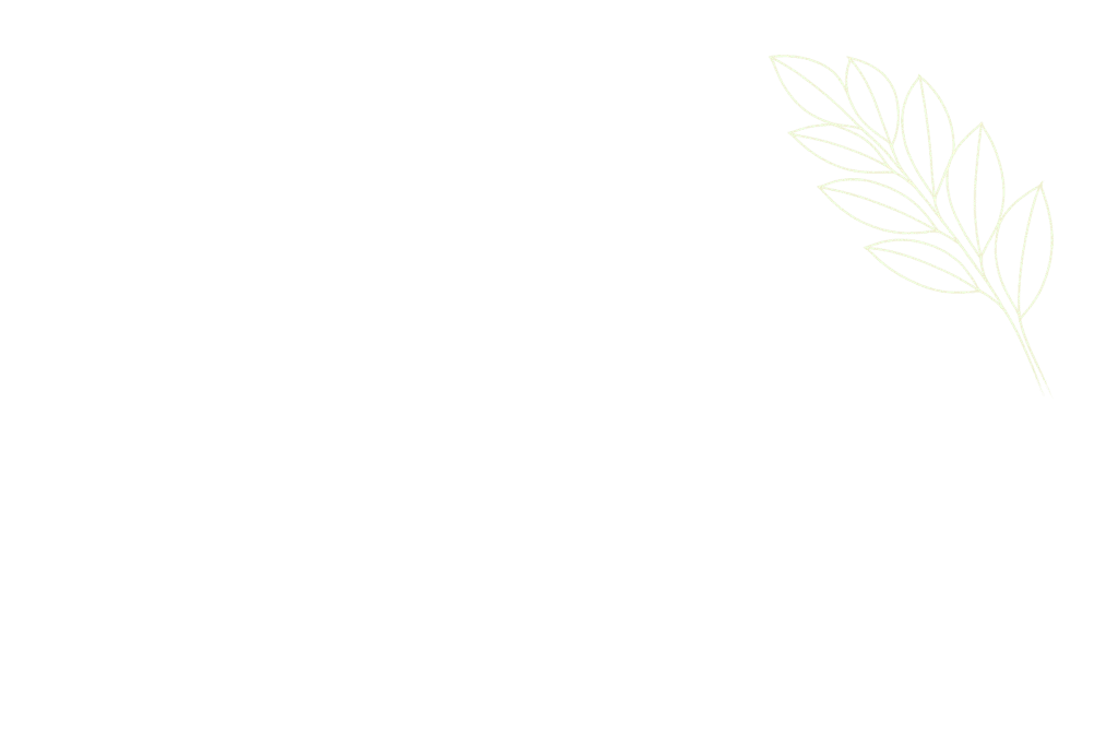 foglia di zamioculcas minimalista